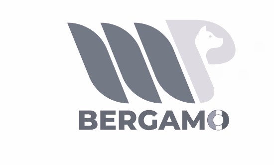 MARCHI ITALIANI: registrato il marchio “Mp Bergamo”